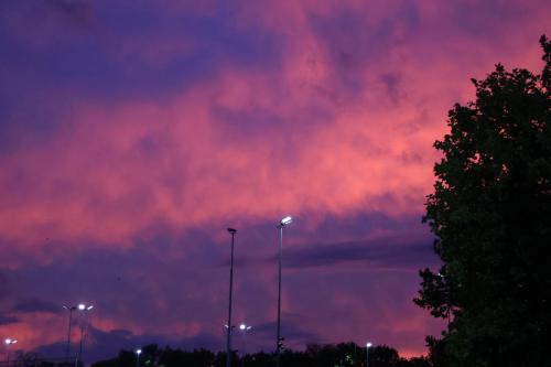 image00016