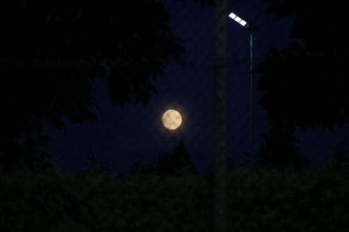 image00017